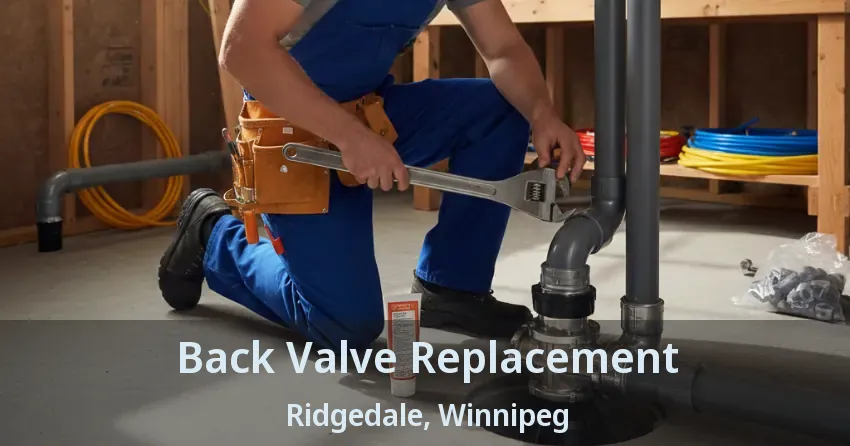 Back Valve Replacement Ridgedale, Winnipeg - MB