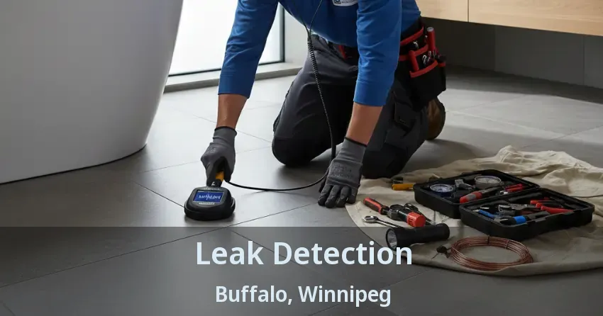 Leak Detection Buffalo, Winnipeg - MB