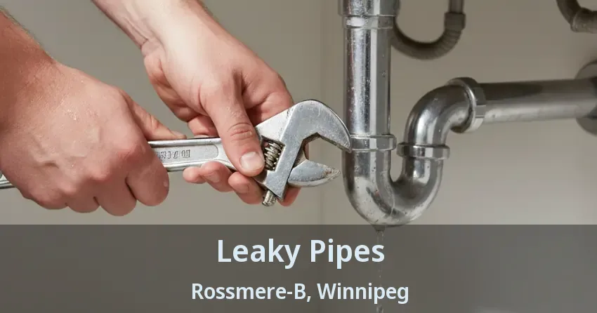 Leaky Pipes Rossmere-B, Winnipeg - MB
