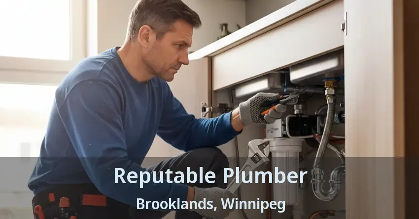 Reputable Plumber Brooklands, Winnipeg - MB